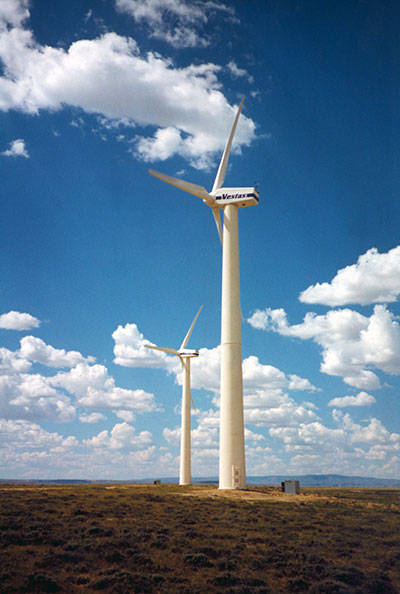 A group of wind turbines in a field