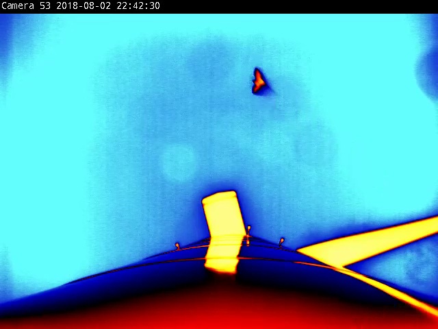 A thermal image showing the outline of a bat flying as viewed from the base of a tower.