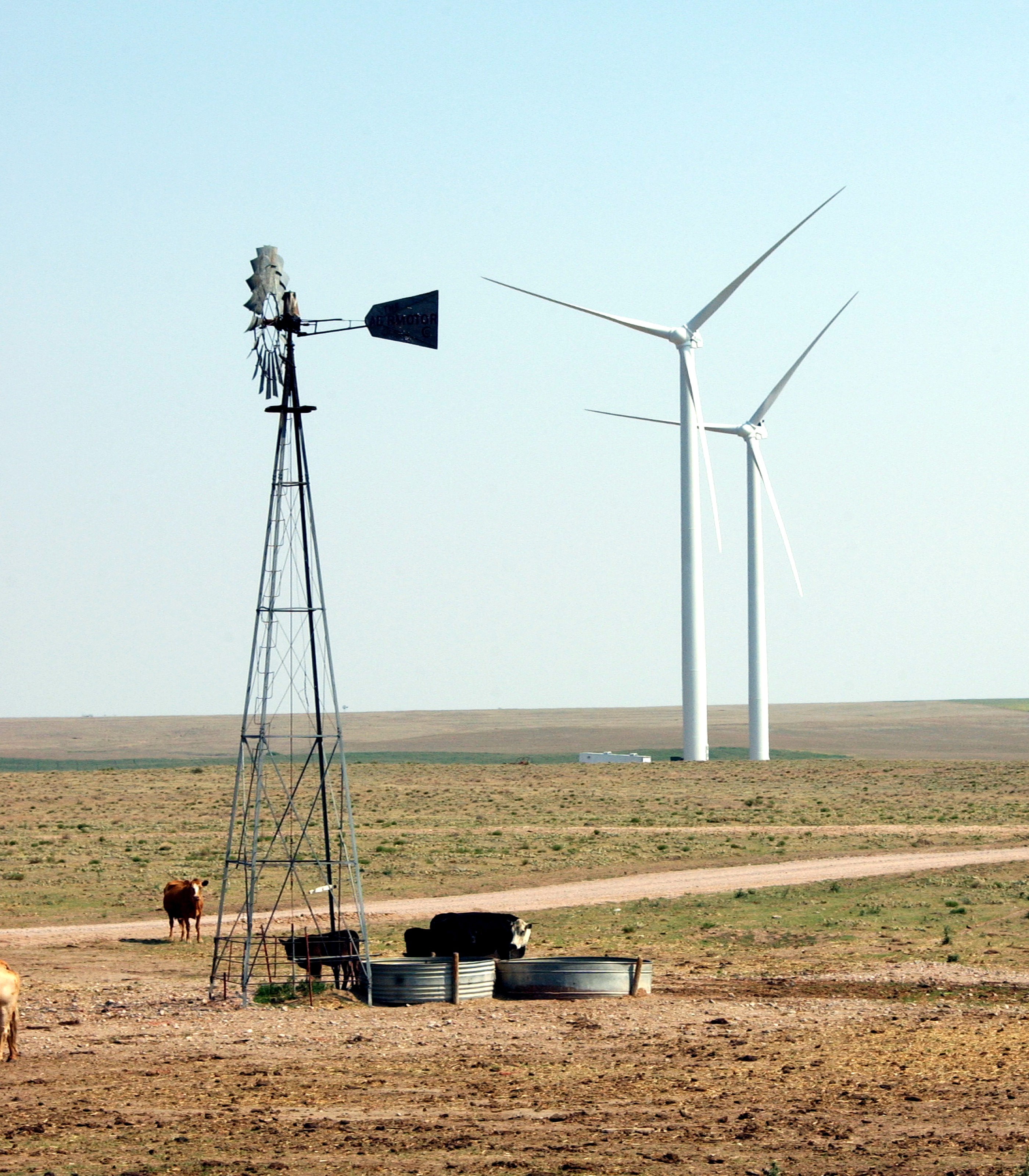 Two wind turbines in a field behind cows, food troughs, and an old-fashioned windmill.
