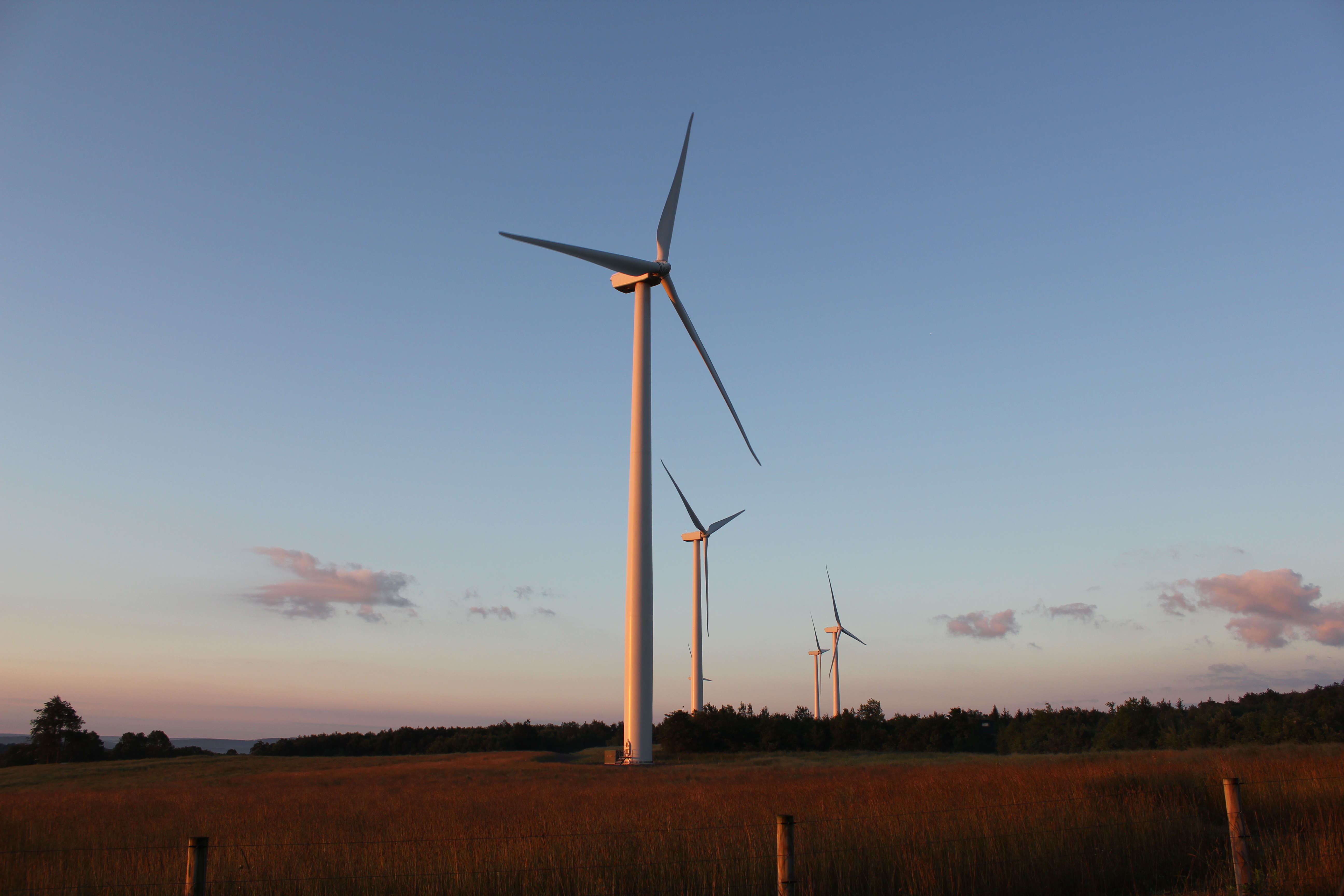 A herd of deer passes in front of a group of wind turbines rising over dry grass. Blue skies are visible in the background