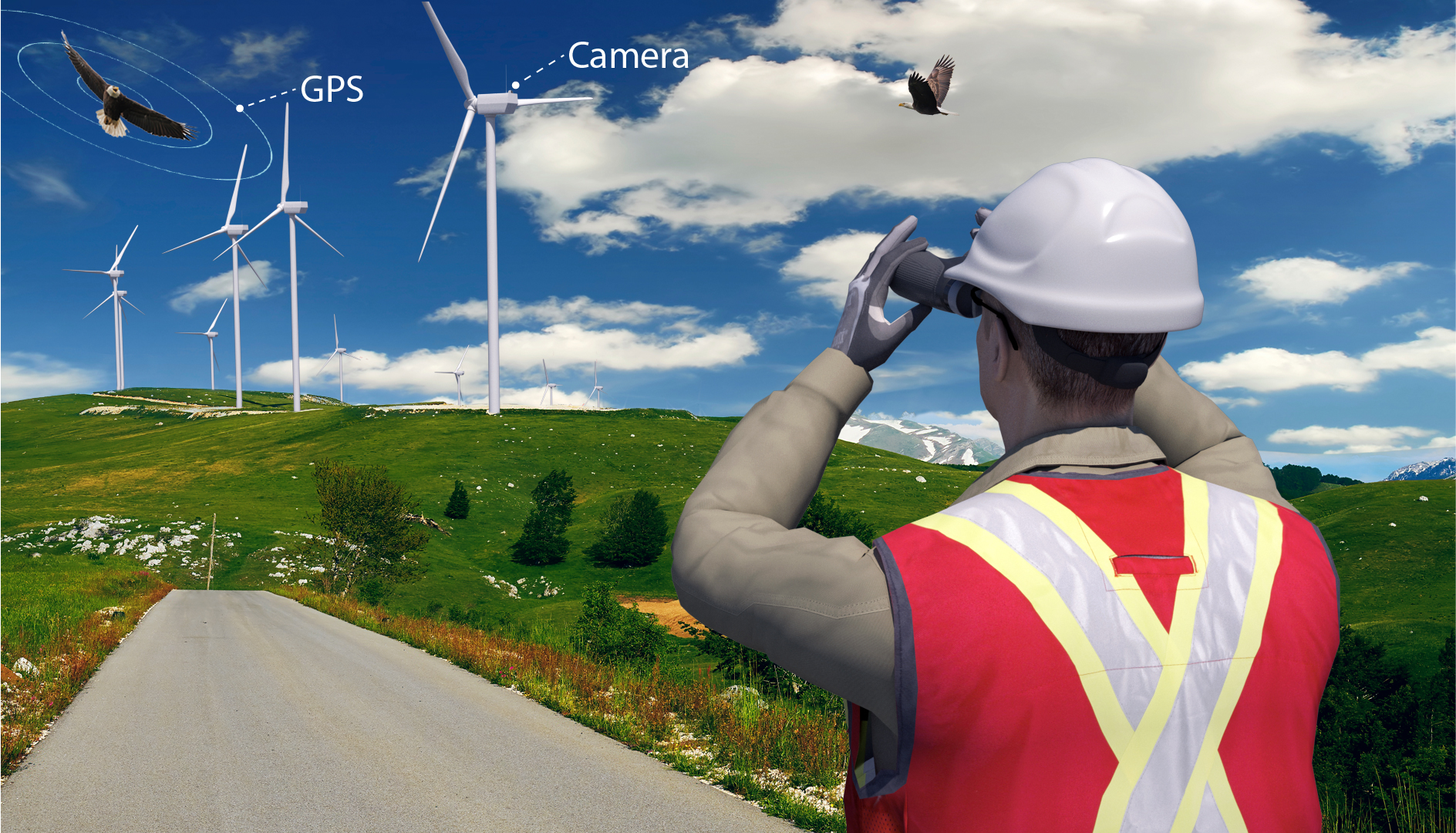 A computer graphic of a person standing on a road in between grassy hills wearing personal protective equipment and using binoculars to look at eagles labeled with the word “GPS” with wind turbines in the background labeled with the word “Camera”.