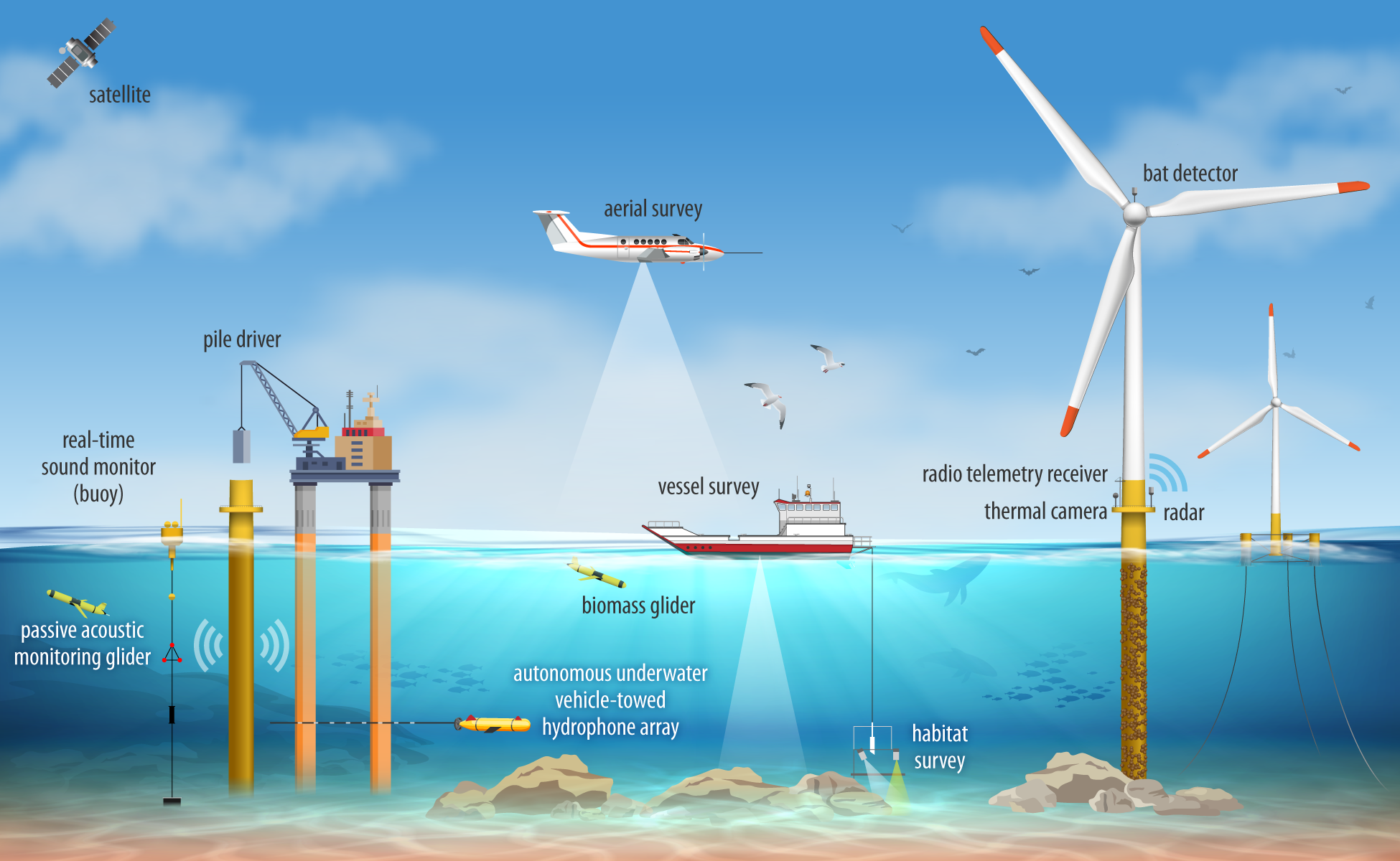 A graphic showing a cutout from the side of fixed-bottom wind turbines being installed and turning in the ocean with boats dragging devices underwater gliders and buoys as well as whales, fish, and seagulls.