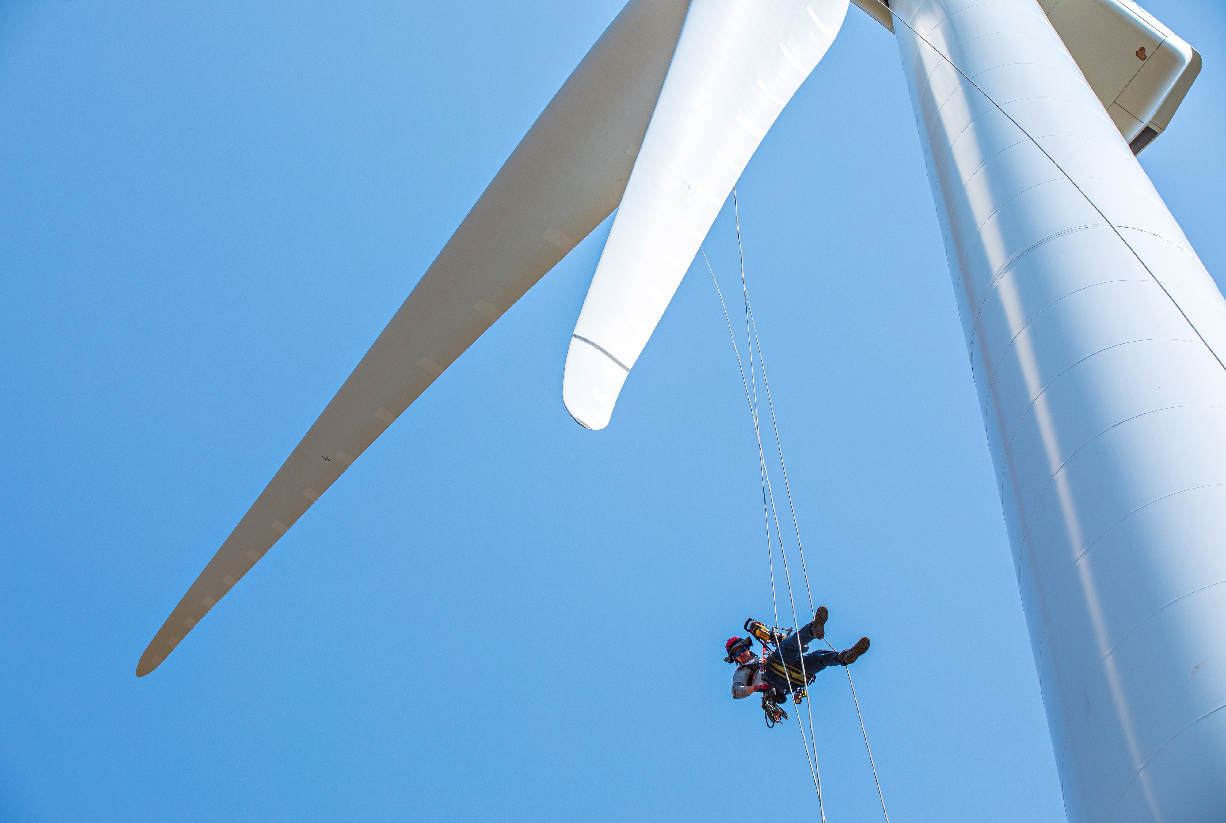 A worker in a harness, hard hat, and other protective gear hangs by a rope from the top of a wind turbine.