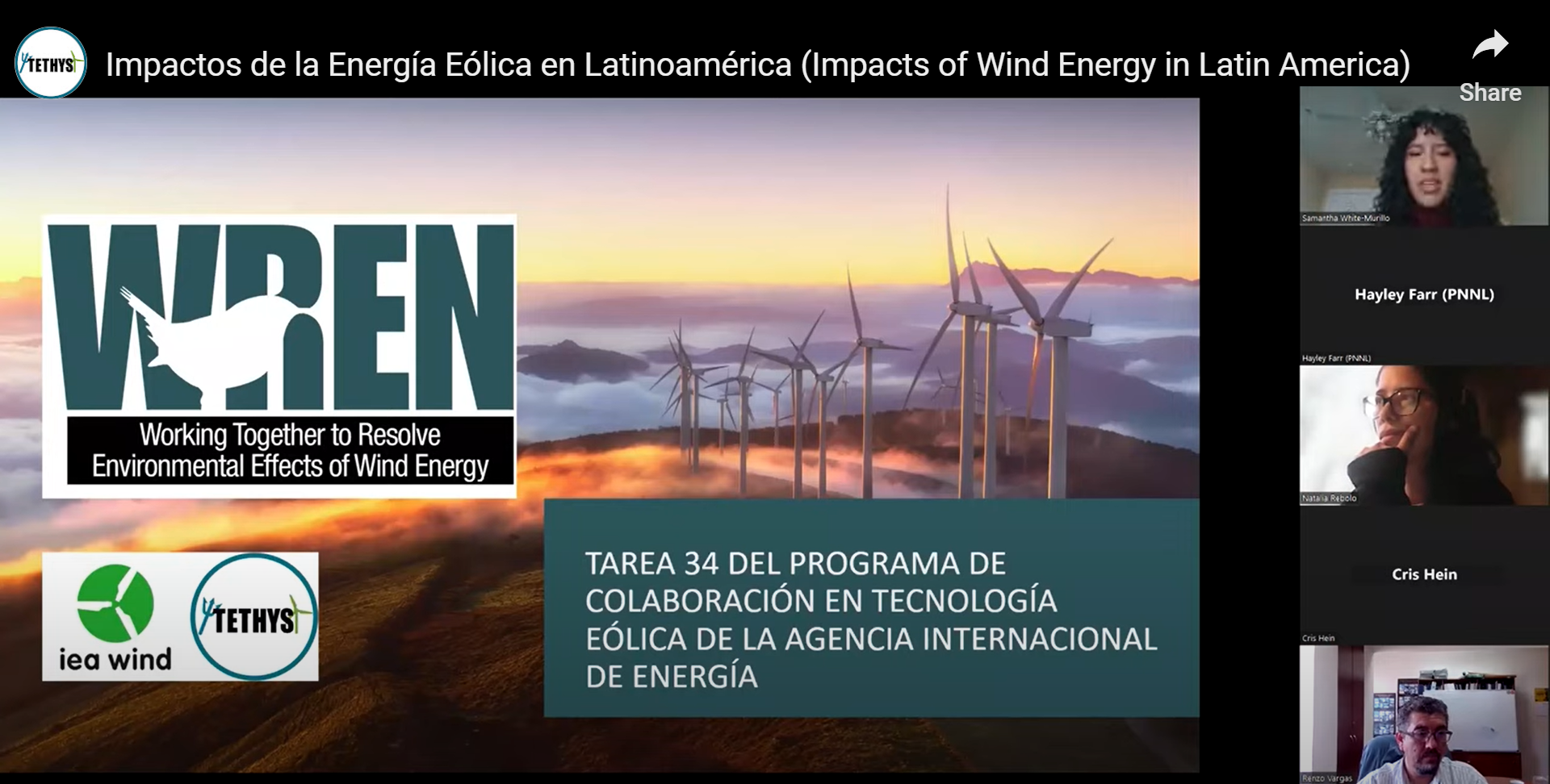 Un photo del seminario web, "Energía Eólica en América Latina: Soluciones Ambientales y Mejores Prácticas"